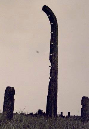 Decaying Fencepost, Birkenau