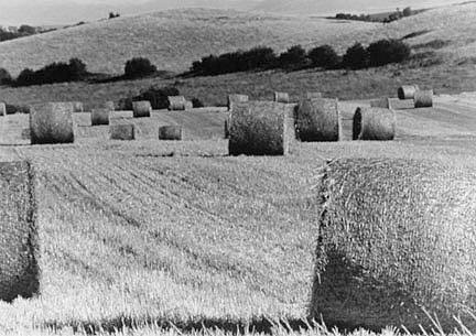 Montana, Gooch Hill I