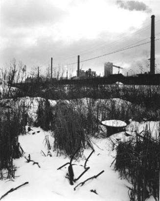 Garbage Mound in Front of Inland Steel Plant, Eastside, Chicago