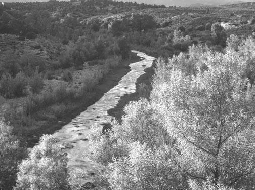 4 - SW -  Virgen River, Near Rockville; Utah (nr. St. George), "Signs & Symbols