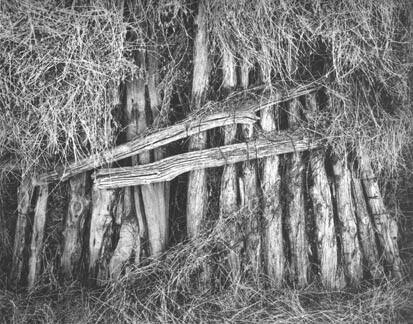 Barns haying near St. George