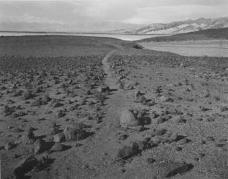 Death Valley: Ancient Footpath Along the Shore of a Departed Lake, from the "Ice Age" series