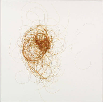 Untitled, from the "Hair 35" series