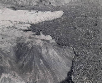 Aerial View: Logs and debris in south end of Spirit Lake-4/5 miles N or Mt. St. Helens, Washington