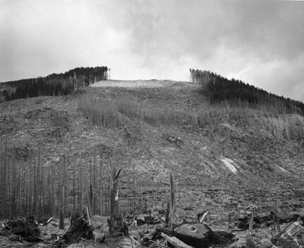 Timber Salvage on Ridge at Eastern Unit of Blast Zone, Clearwater Creek Valley, 9.5 Miles East of Mt. St. Hellens