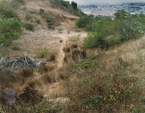 Untitled (#8 landscape with pile of wood on left and city in upper right corner)