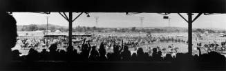 Rodeo, Prescott, Arizona