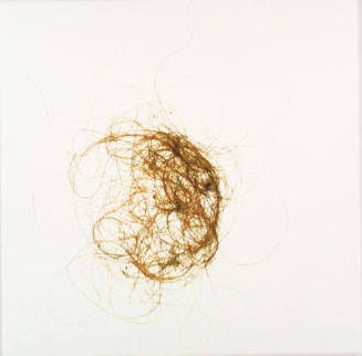 Untitled, from the "Hair 35" series