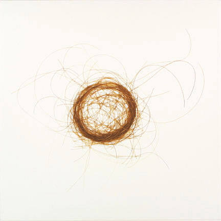 Untitled, from the "Hair 35" series