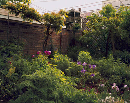 Columbine - Chicago, Illinois, 2002