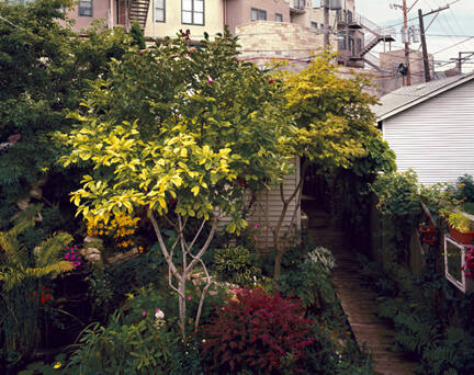 Back Garden - Chicago, Illinois, 2000