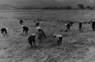 Untitled, Vietnam