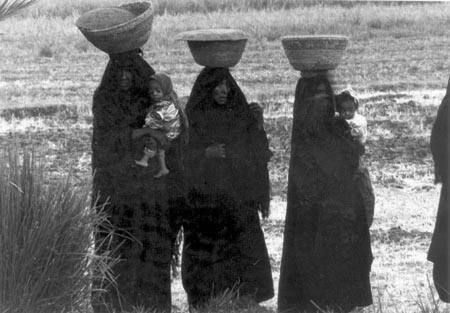 Procession Bearing Food to the Dead, Upper Egypt