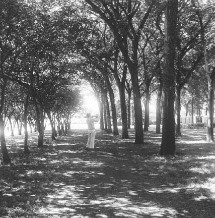 Grant Park, Chicago, Illinois June