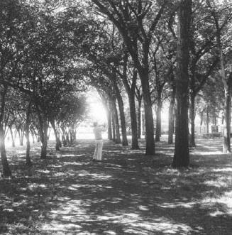 Grant Park, Chicago, Illinois June