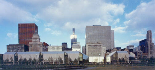 Untitled, from "A Year in Chicago's Grant Park"