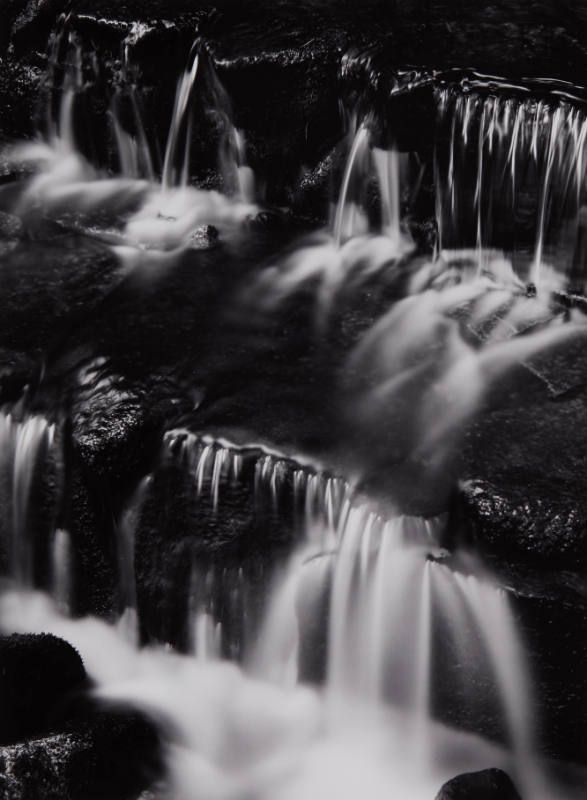 Fern Spring, Dusk, Yosemite Valley, California