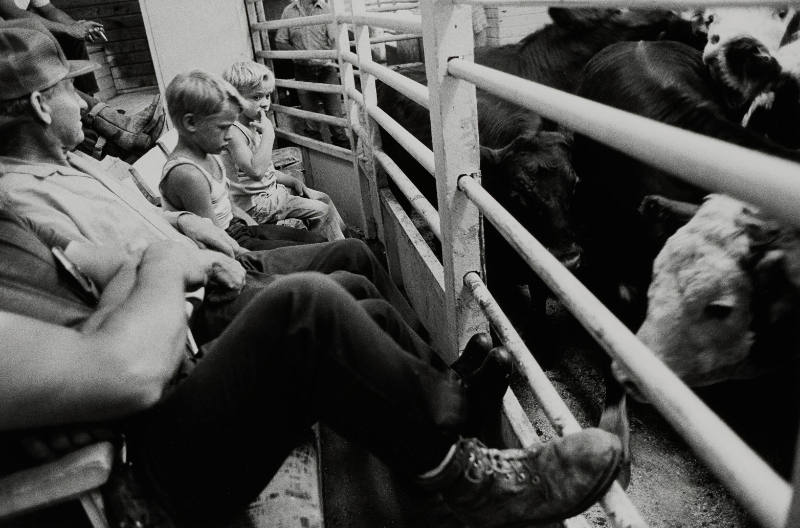 Kids, Auction Barn, Sleepyeye, Minnesota, from the "Farm Families" project