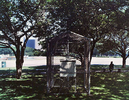 Condemned Birdhouse, from "A Year in Chicago's Grant Park"