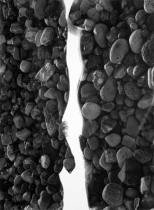 Untitled (Nude with Rocks), from “First Student Independent” portfolio, 1968-1969, the School of the Art Institute of Chicago