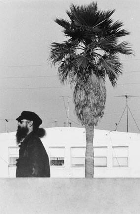 Bearded Man with Tree, Venice, USA