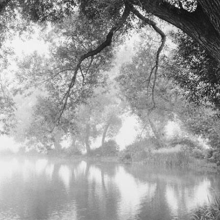 Enchanted River, from Images of Eden Milwaukee County Park - McKinley