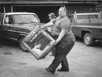 Luther's Livestock Auction, New York