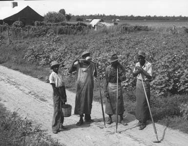 Nowhere are ante bellum conditions so nearly preserved as in the Yazoo Delta." Rupert B. Vance. Yazoo Delta, Mississippi,