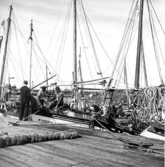 The Sponge Warf at Tarpon Springs