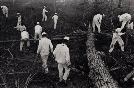 Clearing Land, Ellis Unit, Texas, from the portfolio "Danny Lyon"