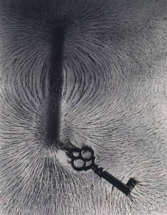 Magnetic Field, from "The Science Pictures" portfolio