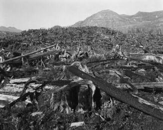 Ucluelet, British Columbia, From "Brad Temkin: A Portfolio"