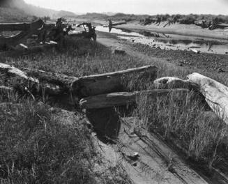 Comber's Beach, British Colulmbia, From "Brad Temkin: A Portfolio"