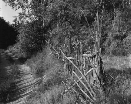 Chimayo, New Mexico, From "Brad Temkin: A Portfolio"