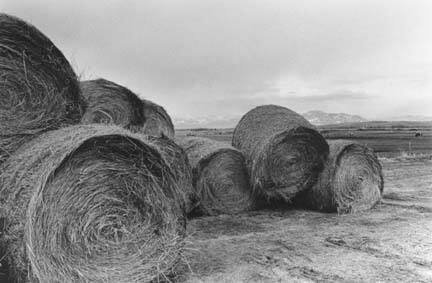 Hay Bales, Bozeman, Montana