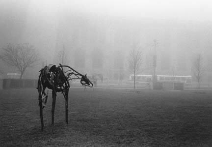 Deborah Butterfield Horses, Chicago, May 1996