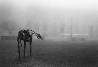 Deborah Butterfield Horses, Chicago, May 1996