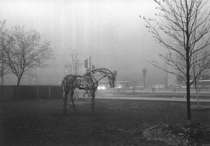 Deborah Butterfield Horses, Chicago, May 1996