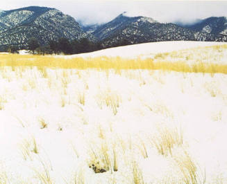 Snow and Grass, Colorado, From "Portfolio One: The Seasons Sierra Club, San Francisco" Portfolio