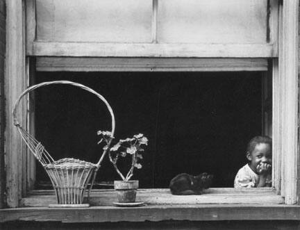 Child, Basket and Cat in Window