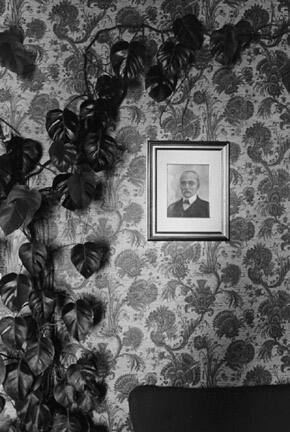 Climbing Plant and Portrait, Assisi, from the "Eva Rubinstein" Portfolio