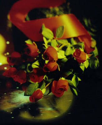 Red Roses