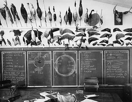 From "American Classroom":  Moss Landing Elementary School, Seventh and Eigth Grade Science Room, Moss Landing, California