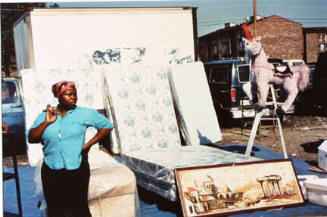 Woman, Horse, Beds, from Changing Chicago