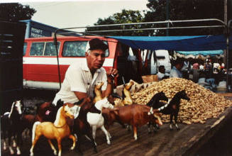 Seller With Horses and Peanuts, from Changing Chicago