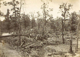 Battle Field of Atlanta, Georgia, No. 1, from "Photo from Nature"