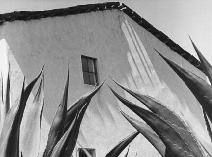 Ventana a los Magueyes, from the "Manuel Alvarez Bravo" portfolio