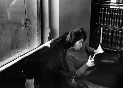 Long Island University, New York (woman reading in library)