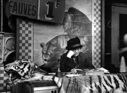 Fauves (woman reading over tiger skin)