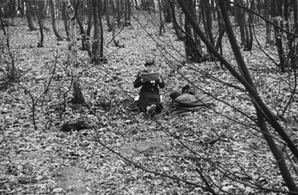 Bellevue Forest, Paris (woman reading in leaf falling woods)